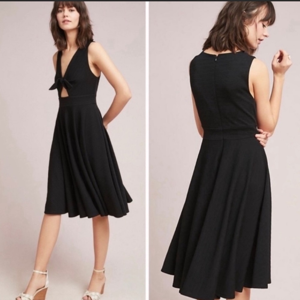 COPY - Anthropologie Hutch dress